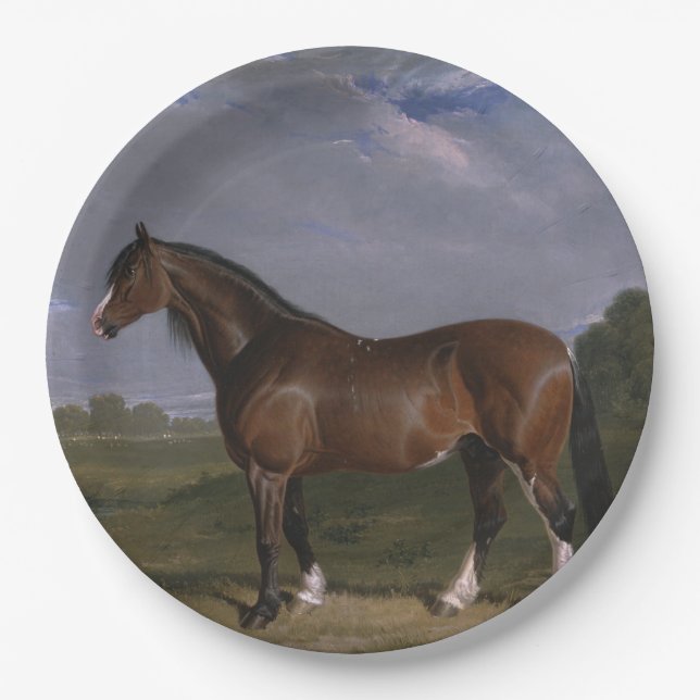 Clydesdale Stallion (Thoroughbred Horse) (Animal) Paper Plates (Front)