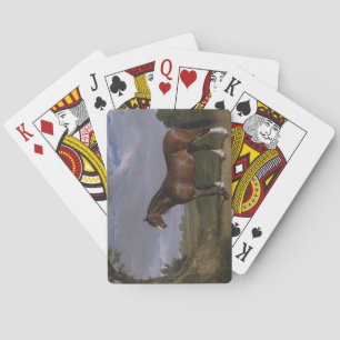 Clydesdale Stallion (Thoroughbred Horse) (Animal) Poker Cards