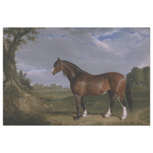 Clydesdale Stallion Thoroughbred Horse Animal Tissue Paper
