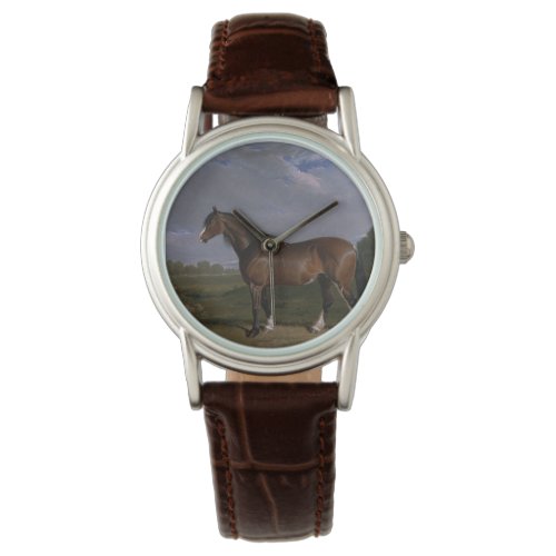 Clydesdale Stallion Thoroughbred Horse Animal Watch