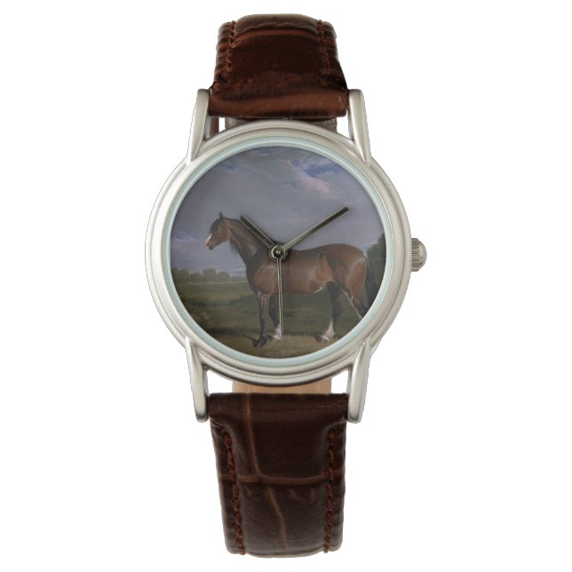 Clydesdale Stallion (Thoroughbred Horse) (Animal) Watch (Front)