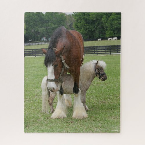 Clydesdale Standing over Miniature Pony Jigsaw Puzzle