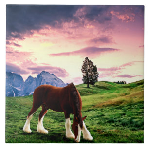 Clydesdale Sunset Ceramic Tile