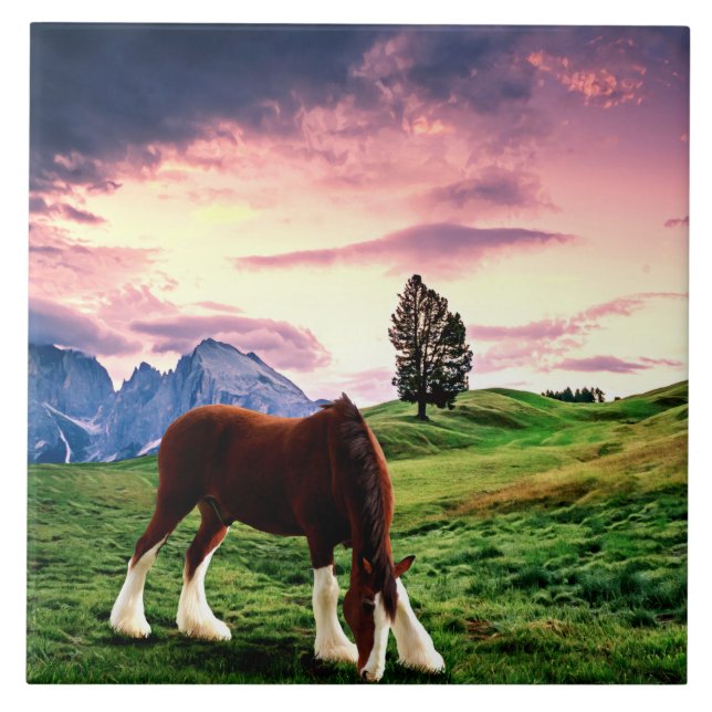 Clydesdale Sunset Ceramic Tile (Front)