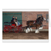 Clydesdales cart (Front Horizontal)