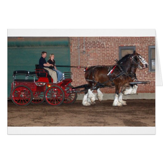 Clydesdales cart cards (Front Horizontal)