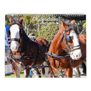 Clydesdales & other heavy horse breeds 2027 calendar