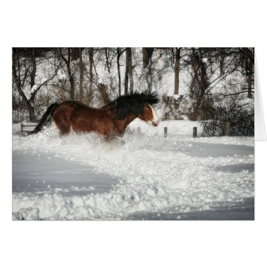 Clydesdale's Snowy Run Cards (Front Horizontal)