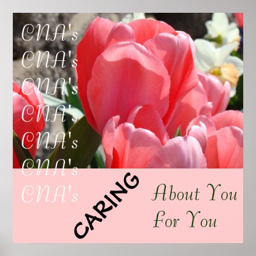 CNAs CNAs Caring about You Caring for You poster