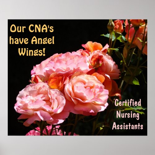 CNAs posters Certified Nursing Assistants Angels