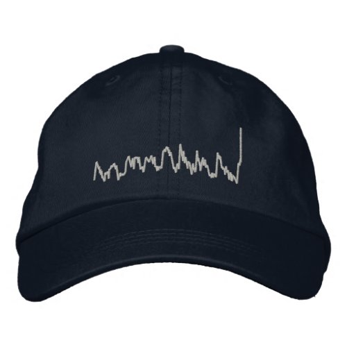 CO2 Embroidered Hat