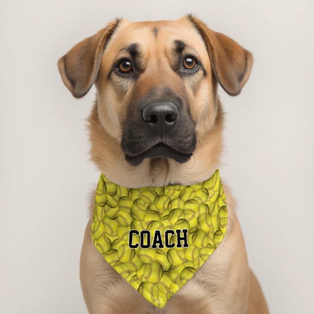 Coach Text On Softballs Pet Bandana Collar (Dog 2)