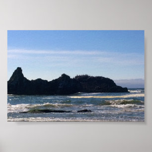 Coast at Seal Rock OR Poster