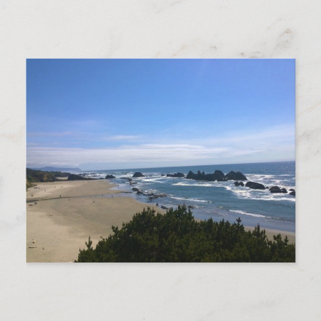 Coast at Seal Rock, Oregon Postcard (Front)