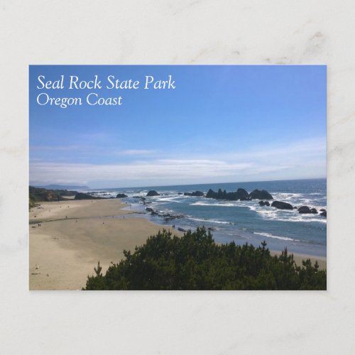 Coast at Seal Rock Oregon Postcard