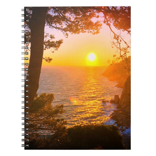 Coast, evening light notebook (Front)