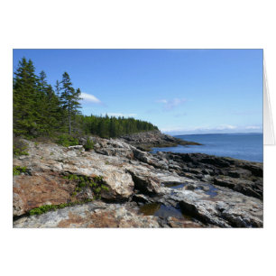 Coast of Bar Island at Acadia National Park
