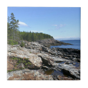 Coast of Bar Island at Acadia National Park Ceramic Tile