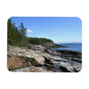 Coast of Bar Island at Acadia National Park Magnet