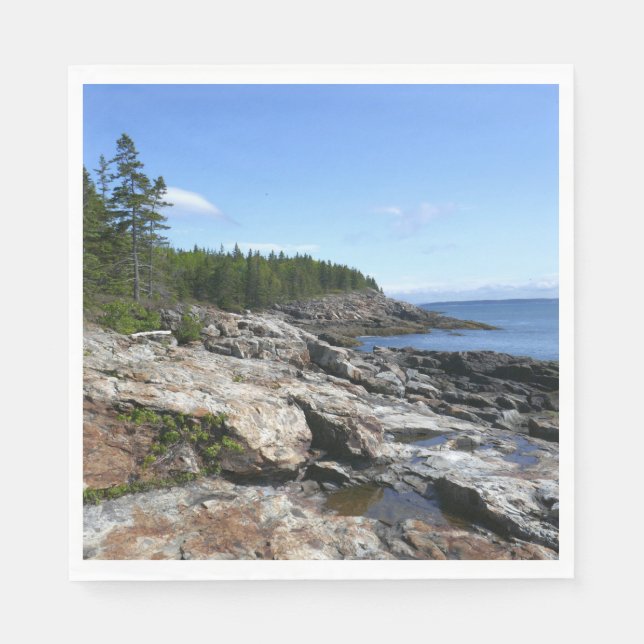 Coast of Bar Island at Acadia National Park Napkins (Front)