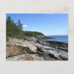 Coast of Bar Island at Acadia National Park Postcard