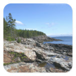Coast of Bar Island at Acadia National Park Square Sticker