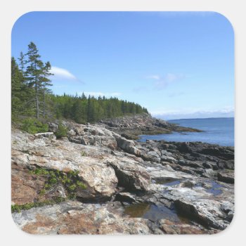 Coast Of Bar Island At Acadia National Park Square Sticker by mlewallpapers at Zazzle