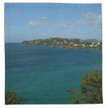 Coast of St. Lucia Caribbean Vacation Photo Cloth Napkin