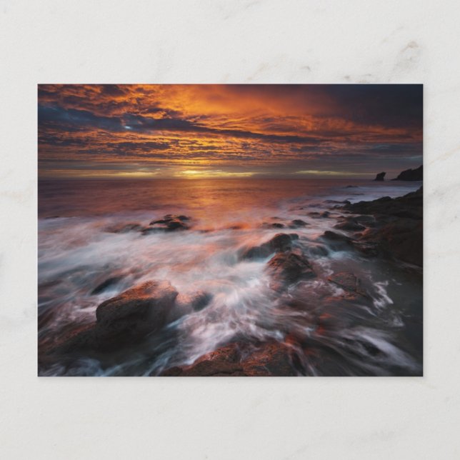 Coast Of The Natural Park Of Cabo De Gata Postcard (Front)