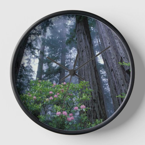 Coast Redwoods and Rhododendrons Clock