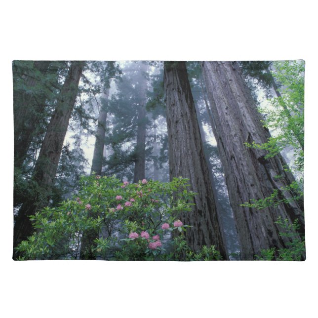 Coast Redwoods and Rhododendrons Cloth Placemat (Front)