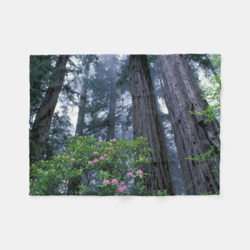 Coast Redwoods and Rhododendrons Fleece Blanket