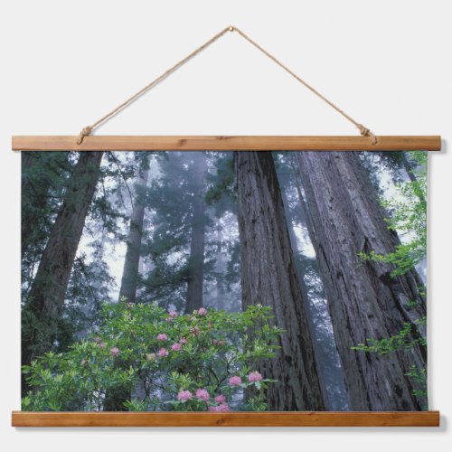 Coast Redwoods and Rhododendrons Hanging Tapestry