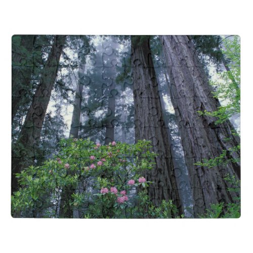 Coast Redwoods and Rhododendrons Jigsaw Puzzle