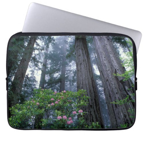 Coast Redwoods and Rhododendrons Laptop Sleeve