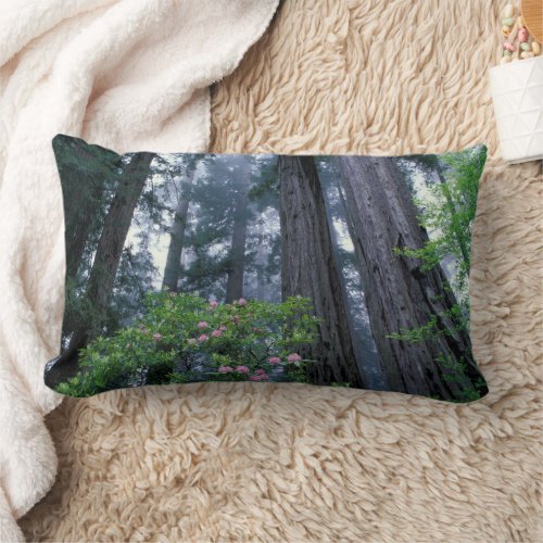 Coast Redwoods and Rhododendrons Lumbar Pillow