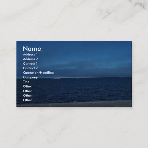 Coastal Area 51 Business Cards