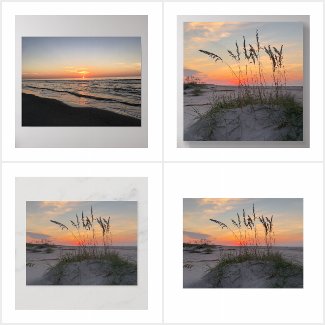 Coastal Art