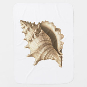 Coastal/beach/nautical seashell  baby blanket