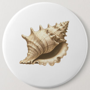 Coastal/beach/nautical seashell button