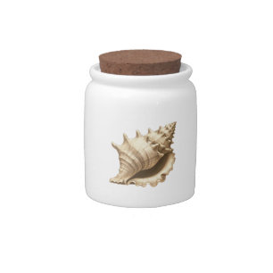 Coastal/beach/nautical seashell candy jar