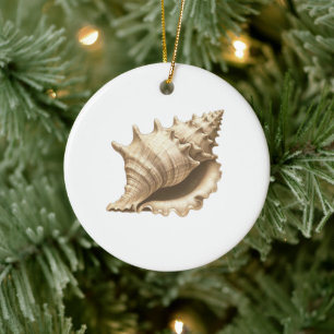 Coastal/beach/nautical seashell ceramic ornament