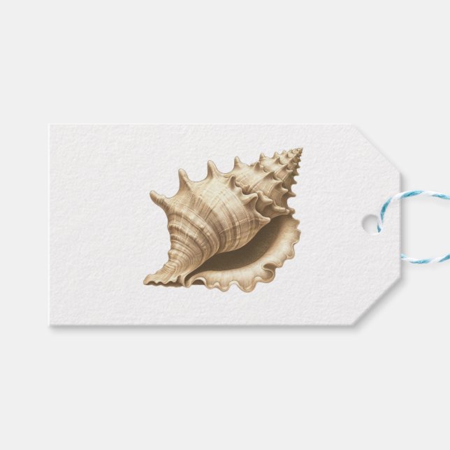 Coastal/beach/nautical seashell  gift tags (Front (Horizontal))