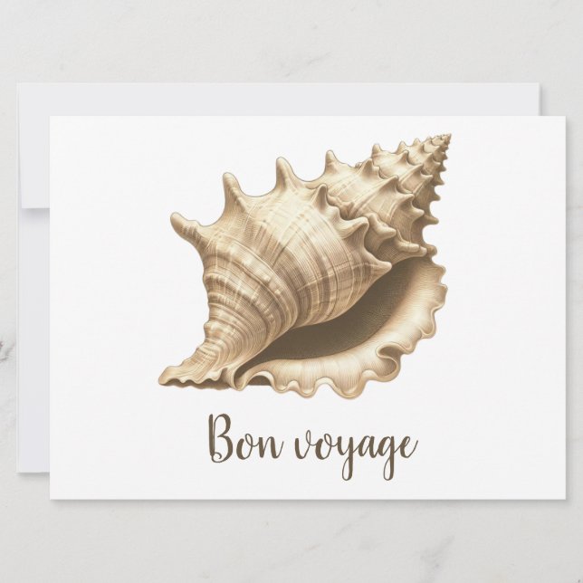 Coastal/beach/nautical seashell  holiday card (Front)