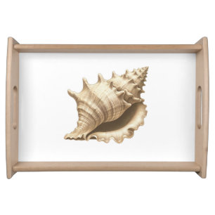 Coastal/beach/nautical seashell serving tray