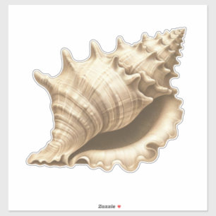 Coastal/beach/nautical seashell  sticker