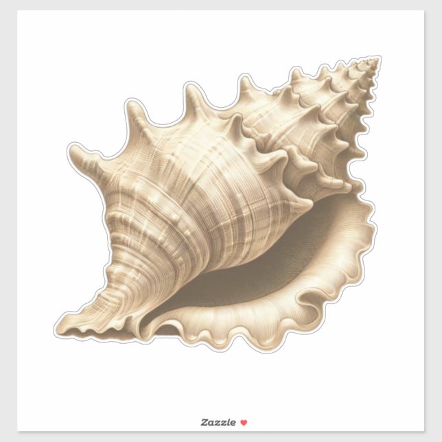 Coastal/beach/nautical seashell  sticker (Sheet)