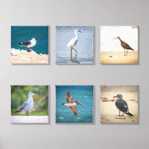 Coastal Bird Canvas Wall Art Set - 6 Piece