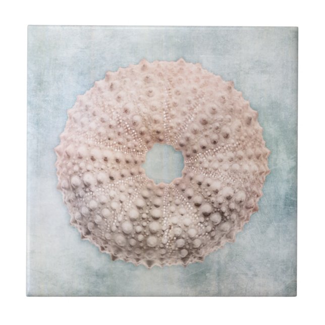 Coastal Blue and Peach Cream Distressed Beach Sea Ceramic Tile (Front)