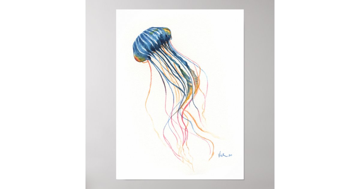 jellyfish watercolor illustration